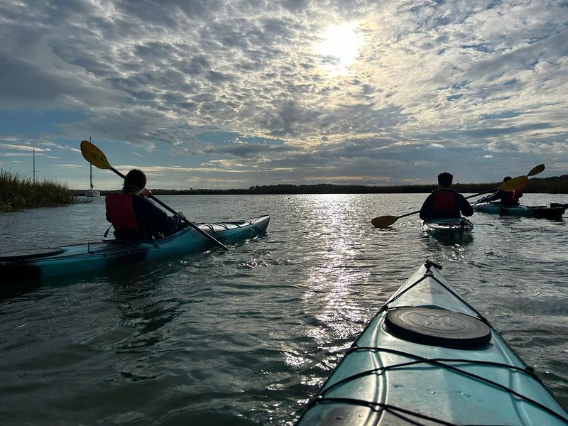 Guided Kayak Eco-Tours