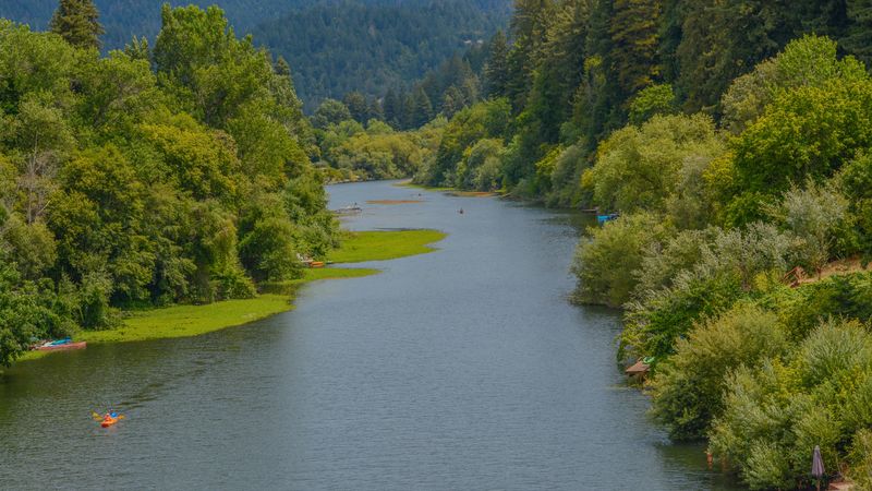 Riverside Picnic Spots