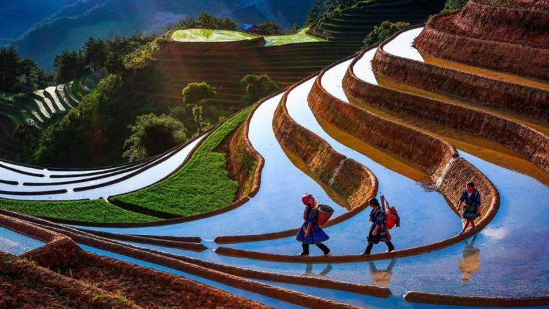 Vietnam