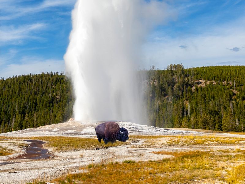 Yellowstone National Park