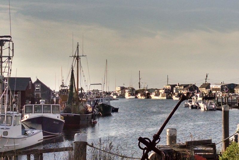 Amity – Martha’s Vineyard, Massachusetts