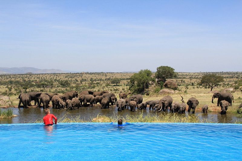 Four Seasons Safari Lodge - Serengeti, Tanzania