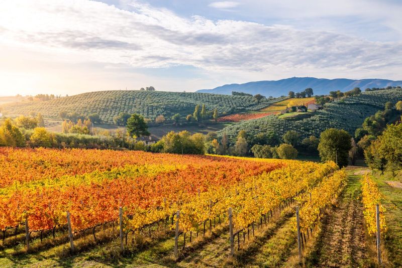 Montefalco - Sagrantino Wine Territory