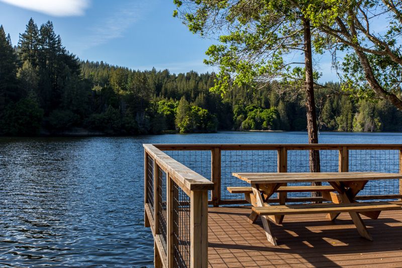 Picnic Areas with a View