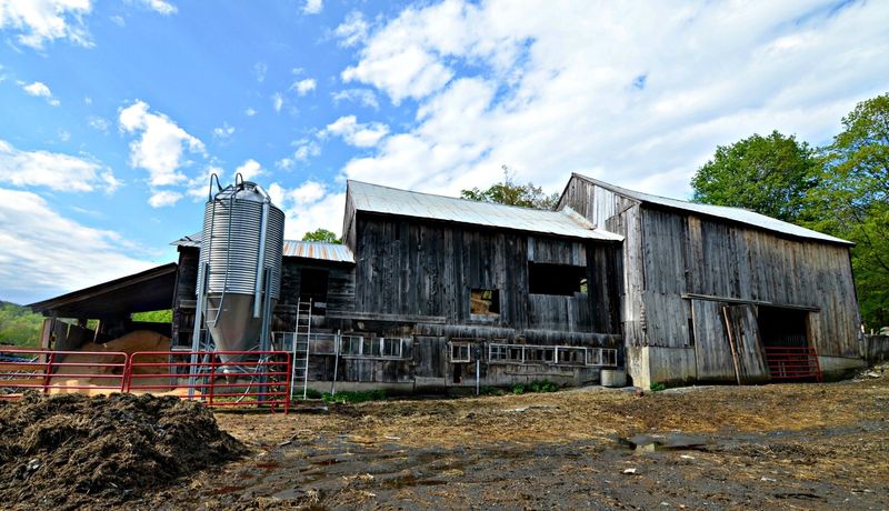 Sugarbush Farm