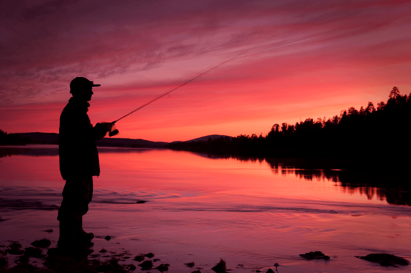 Tranquil Fishing Spots