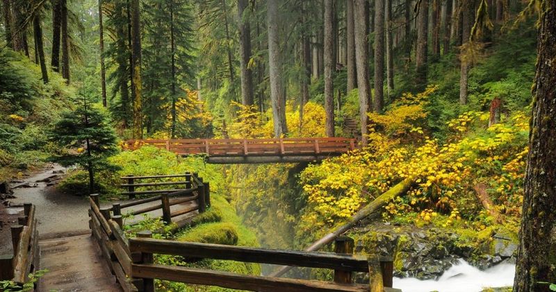 Forks – Forks, Washington