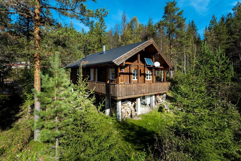 The Hidden Forest Sanctuary