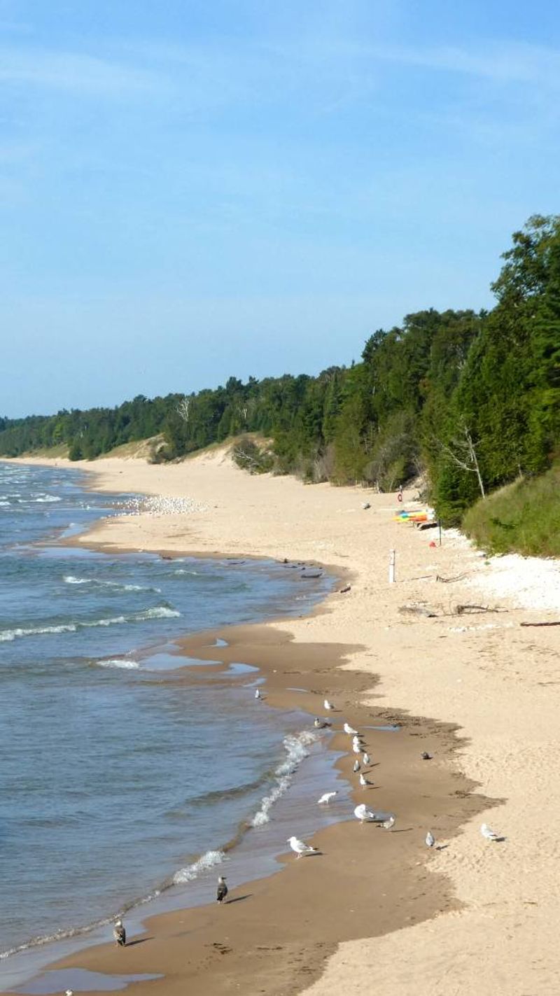 Whitefish Dunes State Park