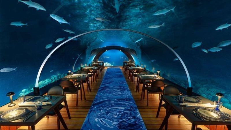 Hurawalhi Maldives' Underwater Restaurant Impact