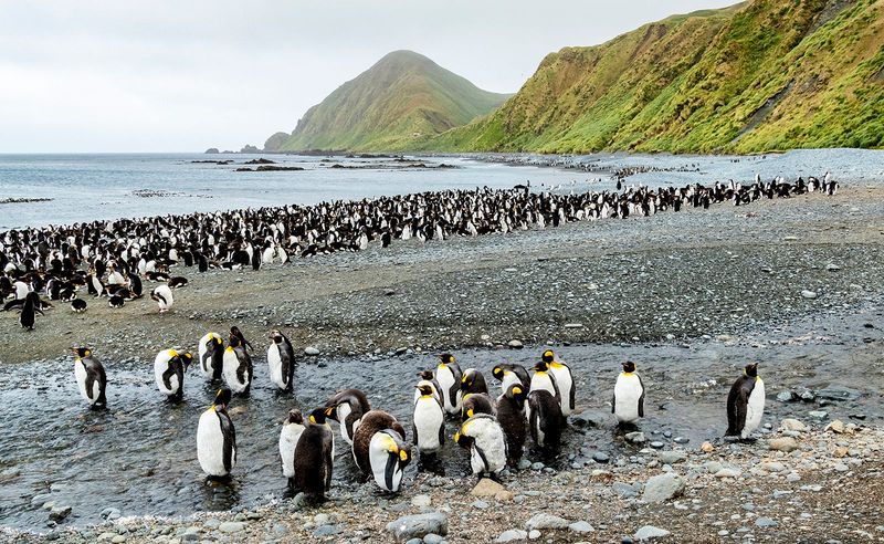 Îles Crozet, French Southern Territories