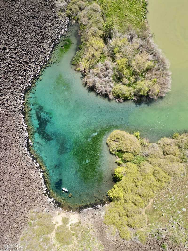 Hidden Oasis Spring
