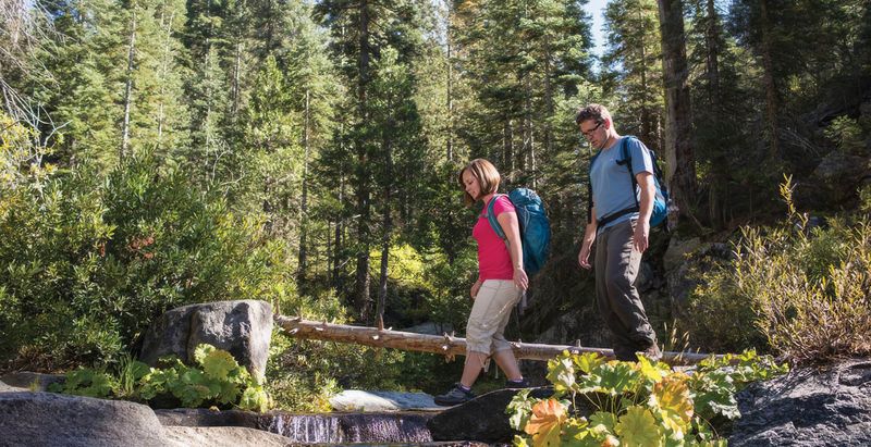 Scenic Hiking Trails