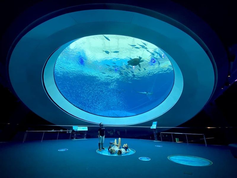 Frost Museum of Science