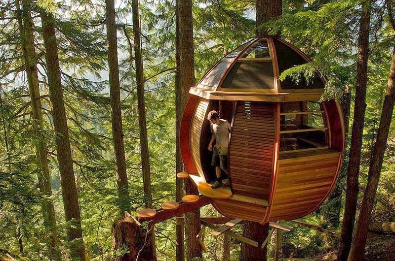 Treehouse Perch