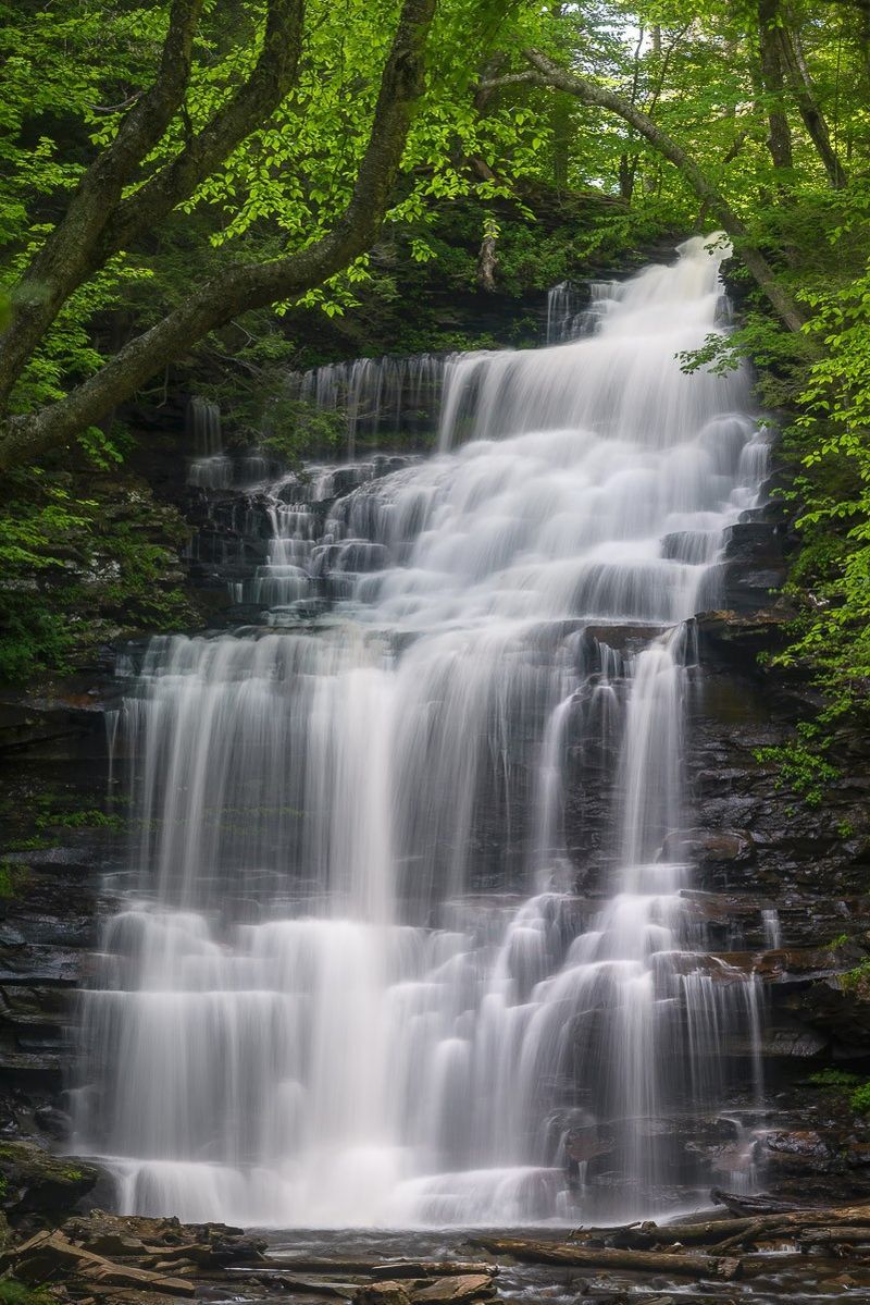Ricketts Glen State Park