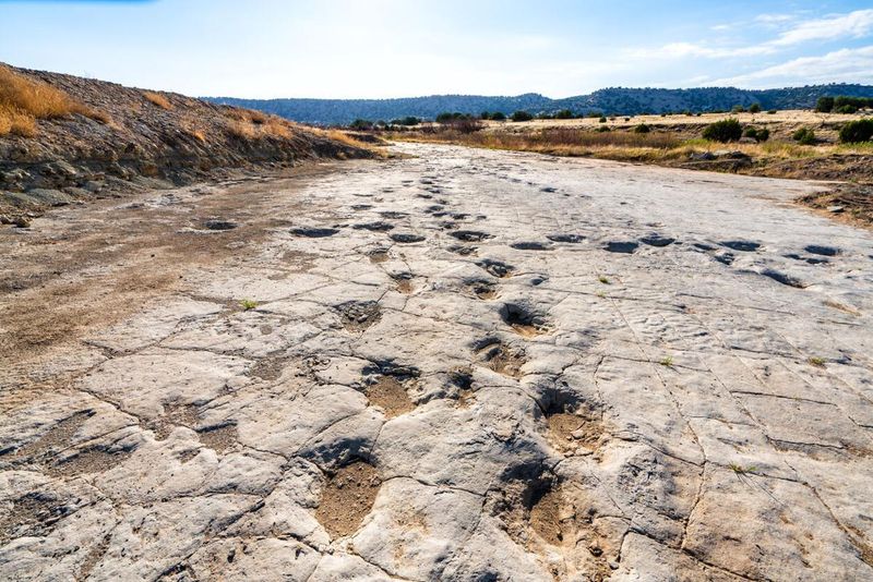 Picketwire Canyonlands: Dinosaur Highway