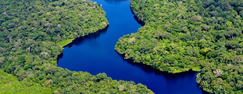 Amazon Rainforest, South America: Earth's Vital Lungs