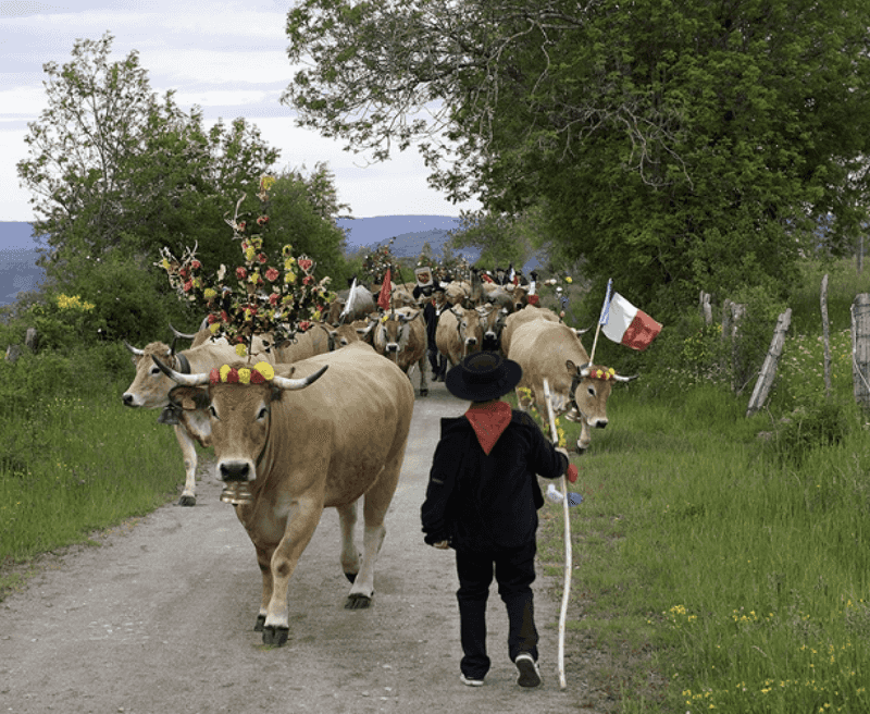 Transhumance Trail Railway
