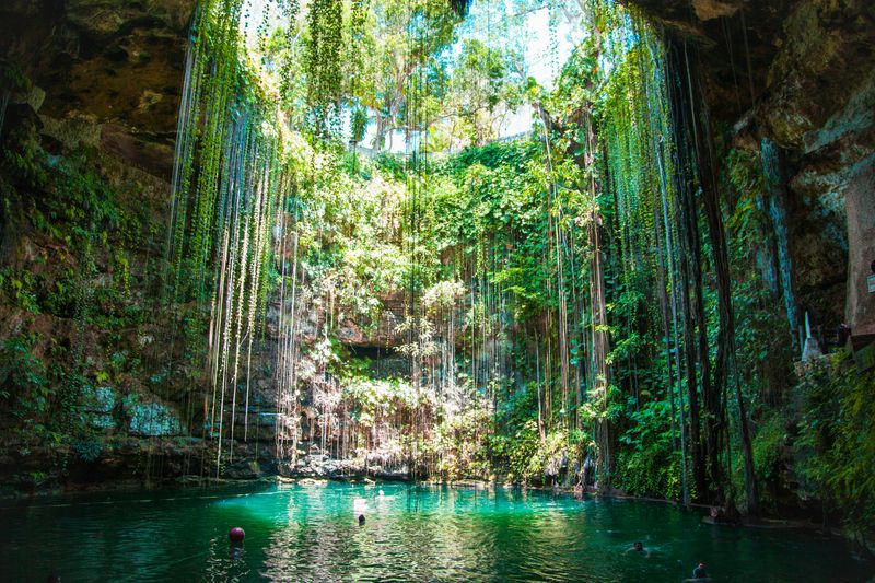 Swim in Cenotes