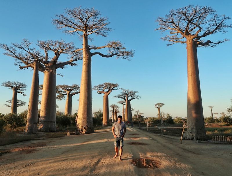 Madagascar, Madagascar