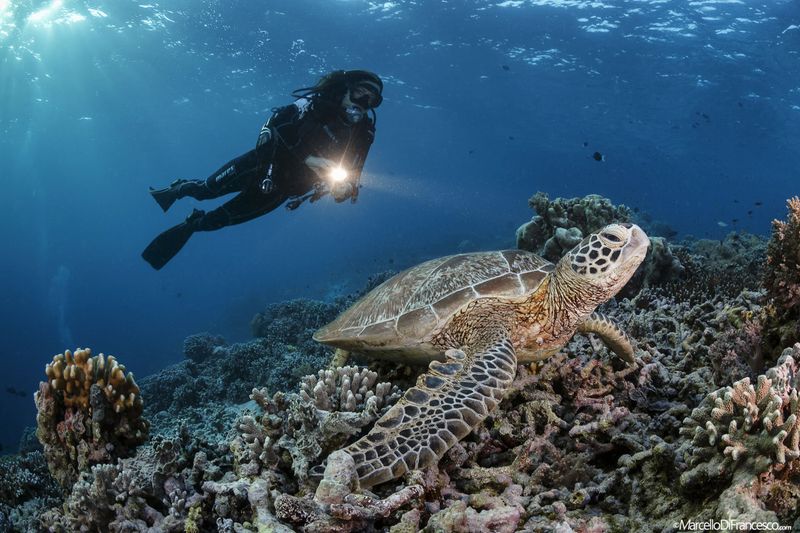Sipadan Island, Malaysia