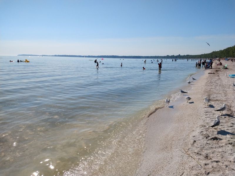Sandbanks' Memory Impressions