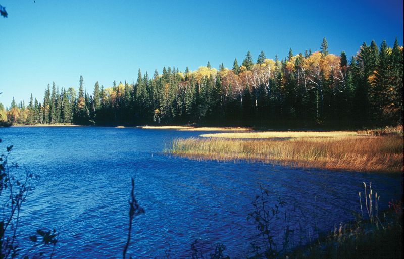 Prince Albert National Park, Saskatchewan
