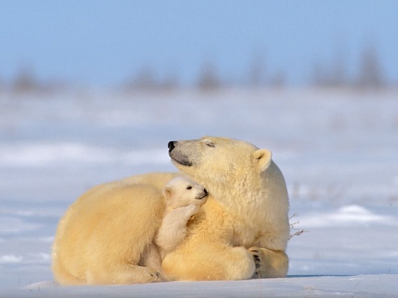 Wapusk National Park, Manitoba