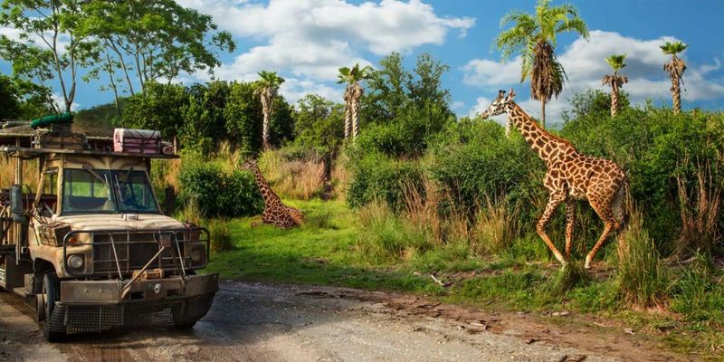 Kilimanjaro Safaris