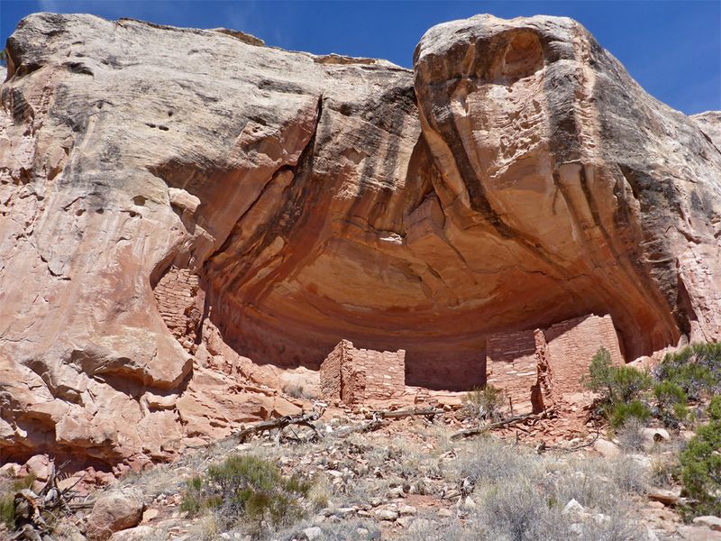 Canyons of the Ancients: Archaeological Wonderland