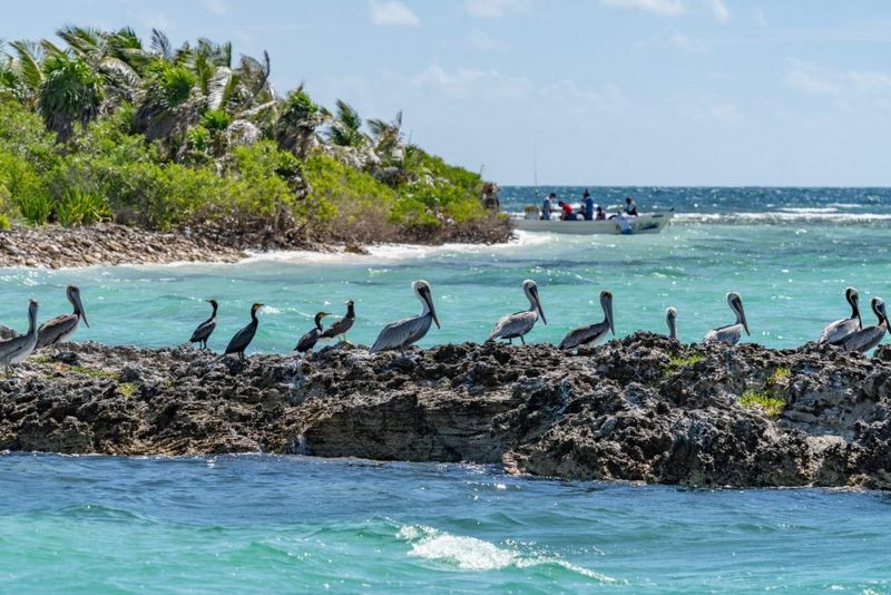 Isla Contoy