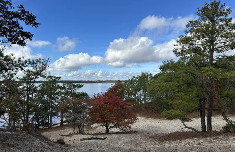Miles of Secluded Hiking Trails (With Ocean Breezes)