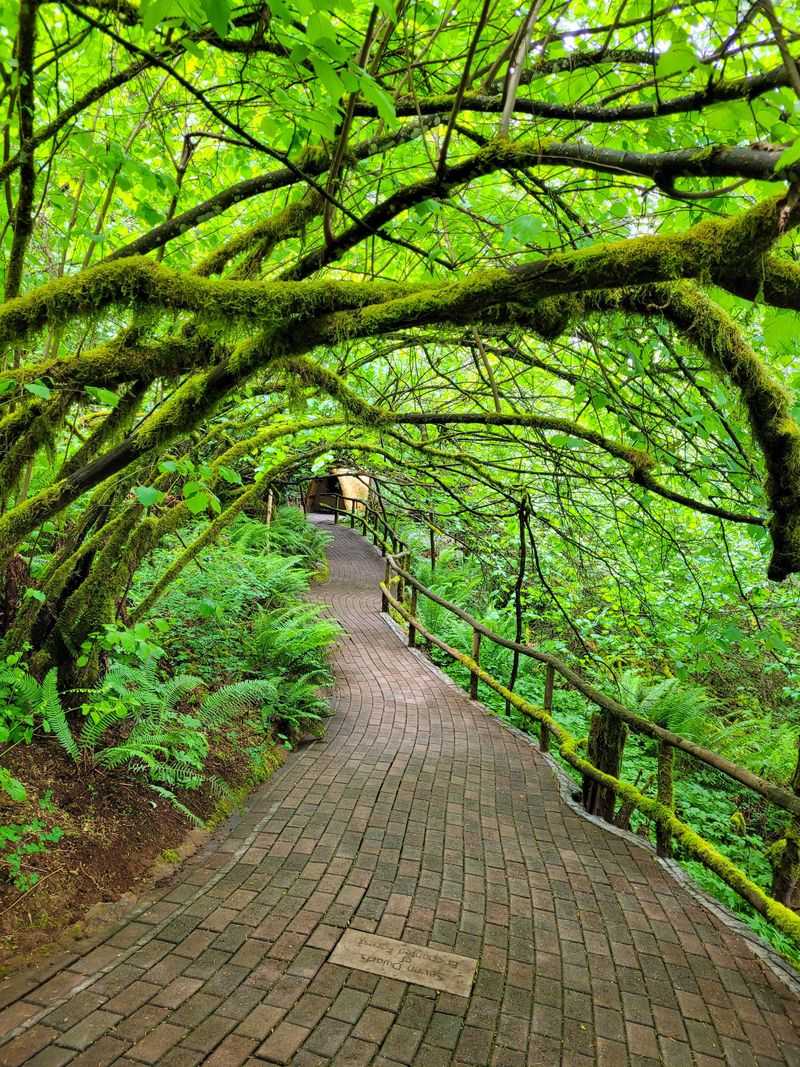 The Enchanted Forest, Oregon