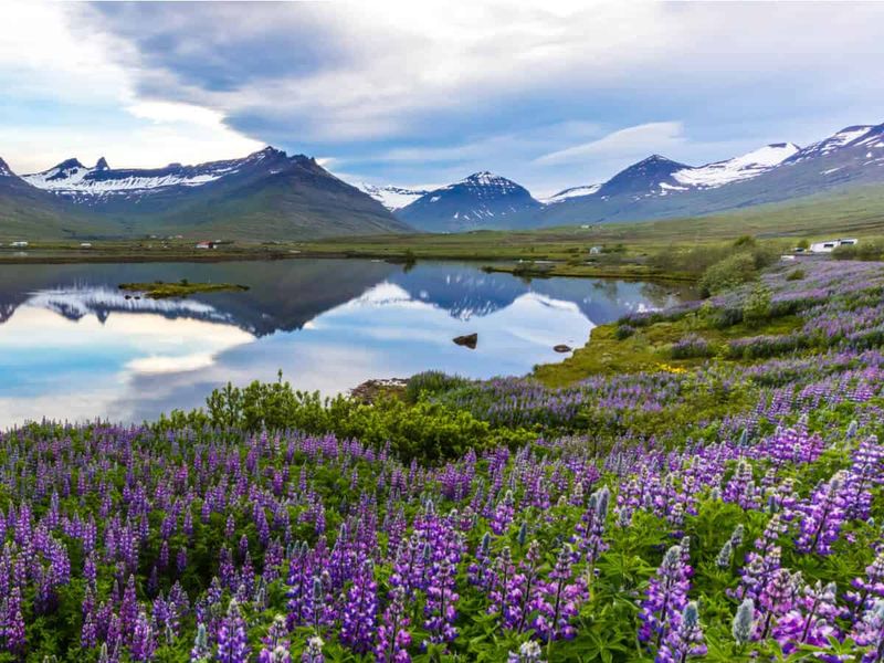 Sustainable Tourism