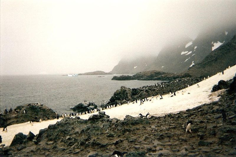 Scotia Sea