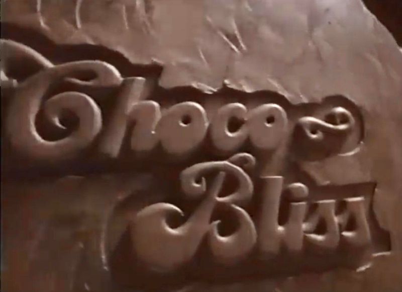 Choco Bliss Snack Cakes