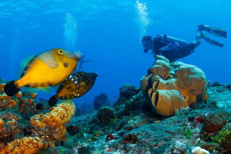 Isla Cozumel