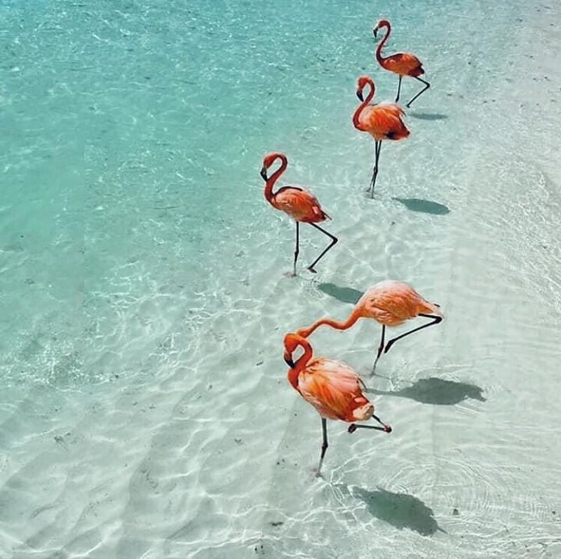 Holbox Island