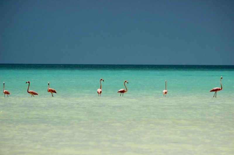 Holbox Island