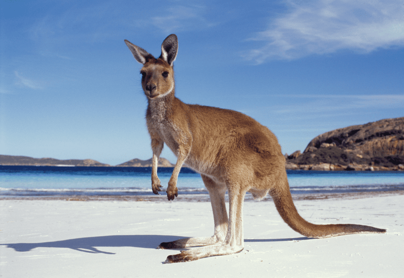 Australia