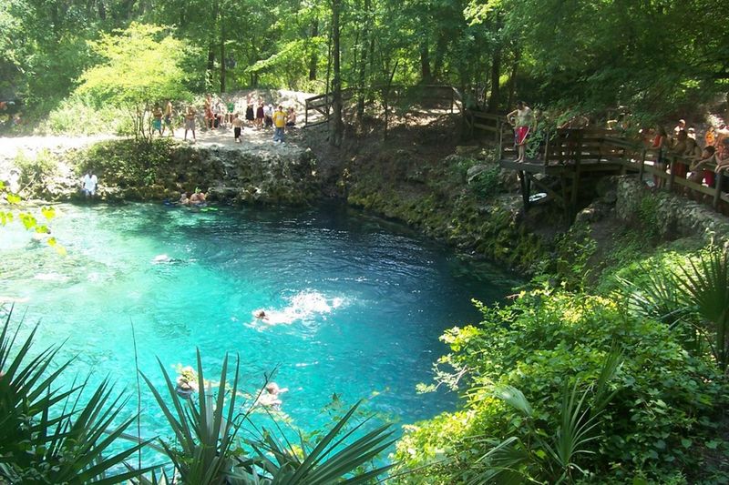 Cliff Diving Thrill