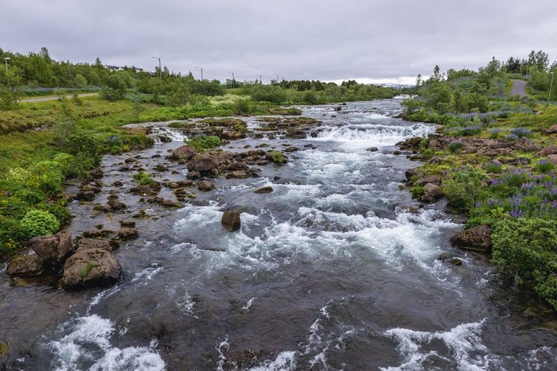 Elliðaárdalur Valley Nature Walks