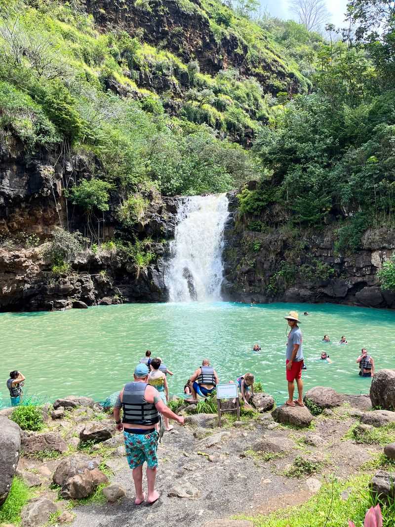 Exploring Waimea Valley