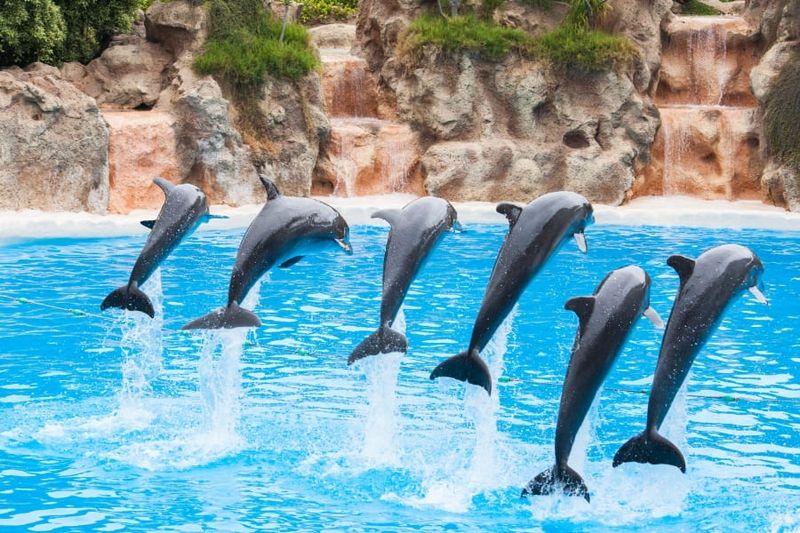 Miami Seaquarium