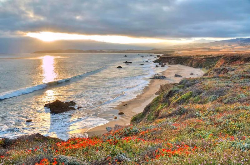 Scenic Coastal Trails