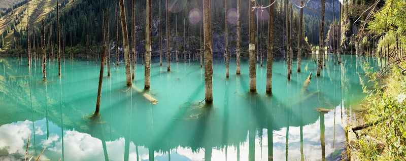Underwater Forest, Lake Kaindy, Kazakhstan