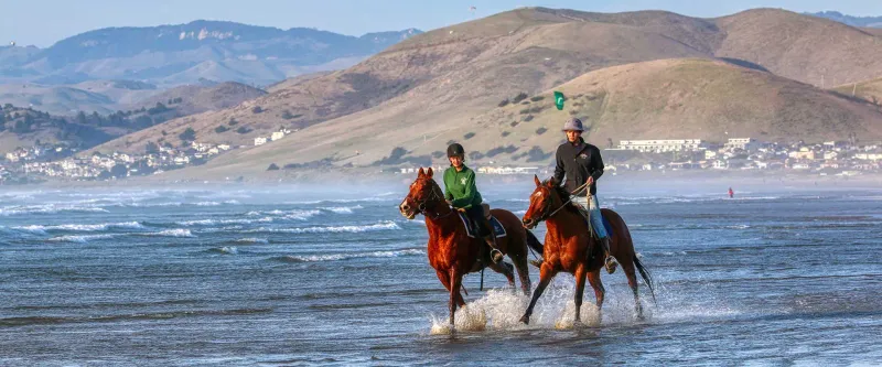 Horseback Riding on the Beach