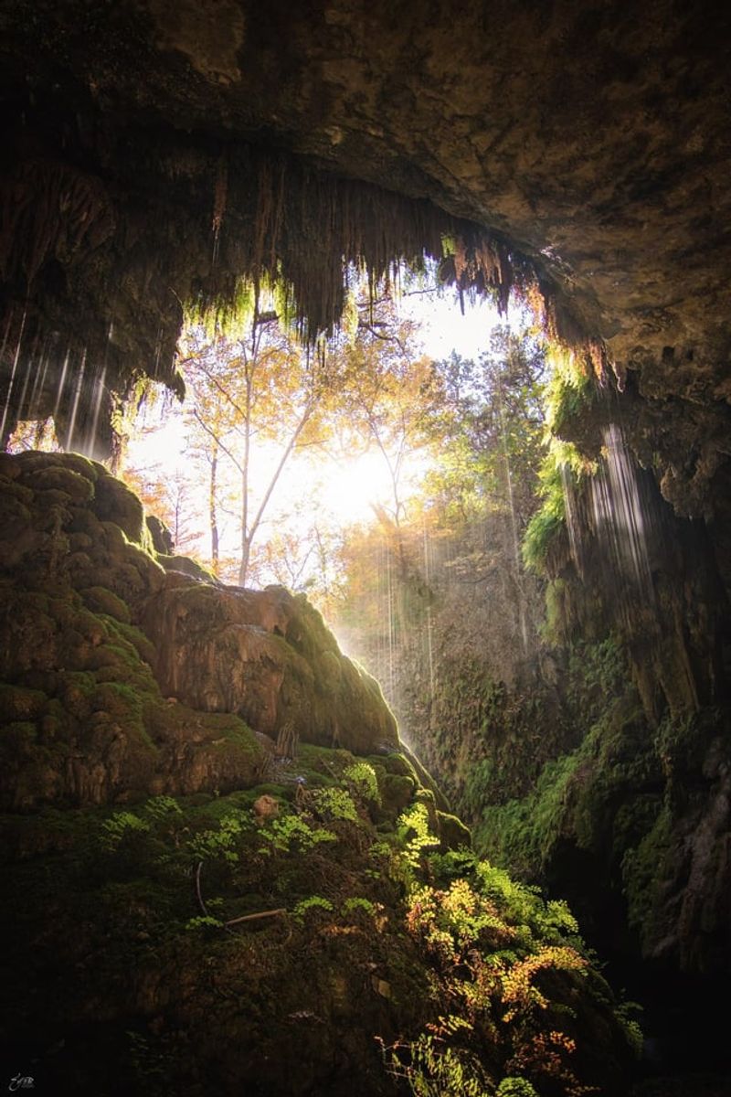 The Enchanted Grotto