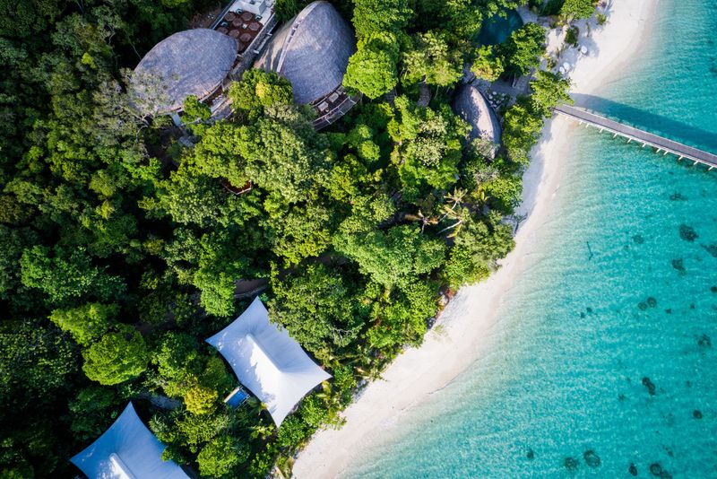 Cempedak Private Island's Turtle Program Failures